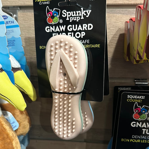 Flip Flop -Squeaky Gnaw toy