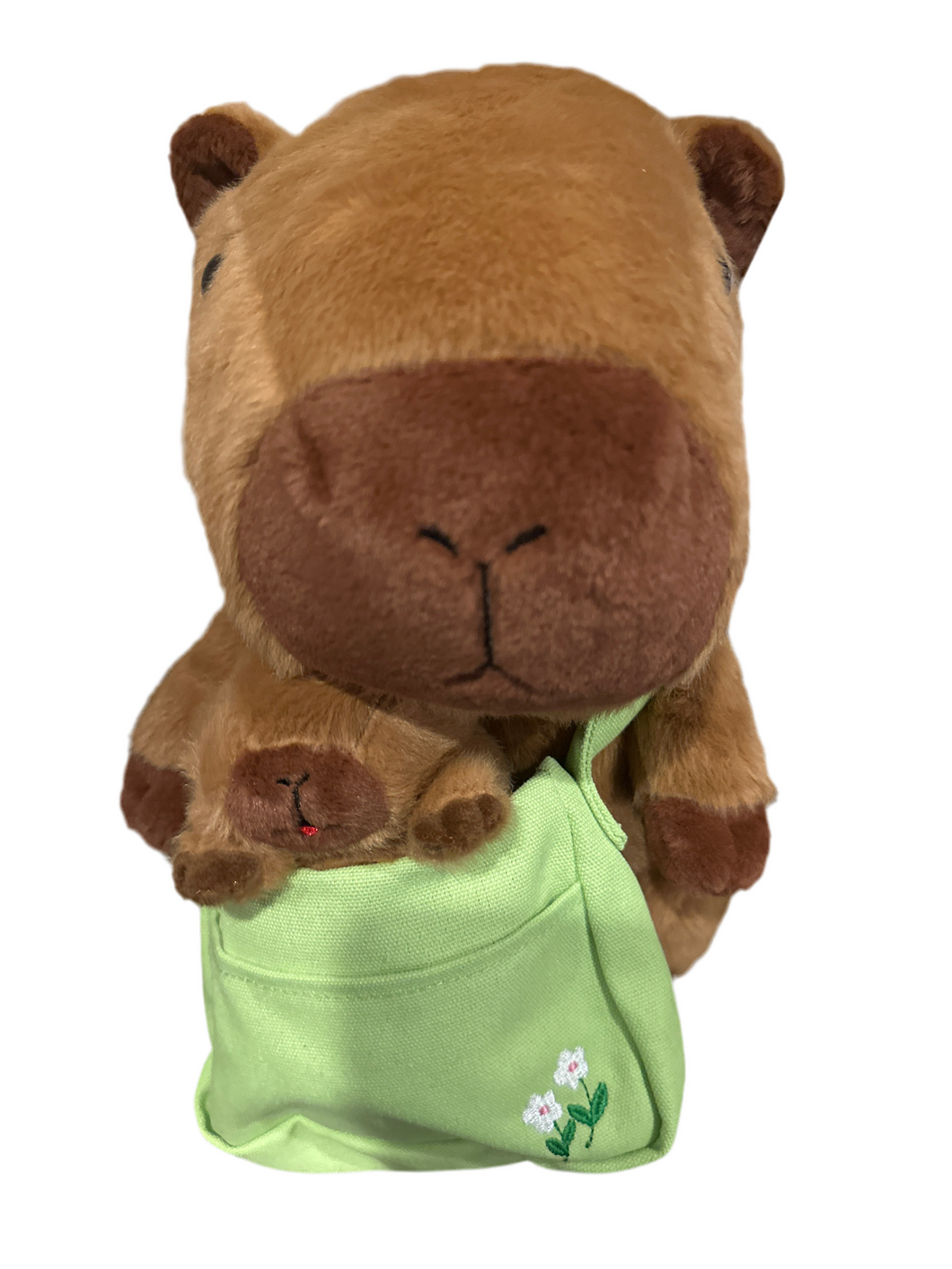 Momma and baby Capybara Set